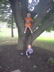 Children around tree