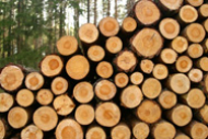 Piled logs of firewood